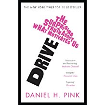 Drive: The Surprising Truth About What Motivates Us